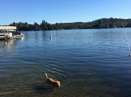 12022 Lakeshore North, Auburn, CA 95602 Photo