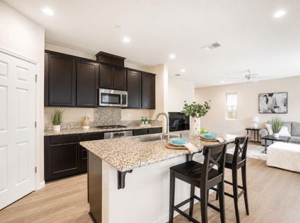 270 E Phelps Dr, Mountain House, CA 95391 Photo