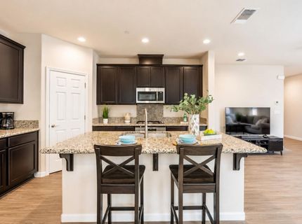 270 E Phelps Dr, Mountain House, CA 95391 Photo