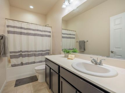 270 E Phelps Dr, Mountain House, CA 95391 Photo