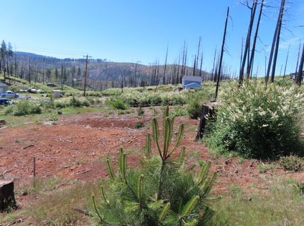 7130 Winding Way, Grizzly Flats, CA 95636 Photo