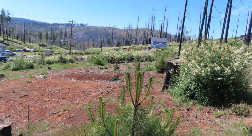 7130 Winding Way, Grizzly Flats, CA 95636 Photo