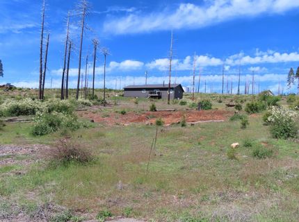 7130 Winding Way, Grizzly Flats, CA 95636 Photo
