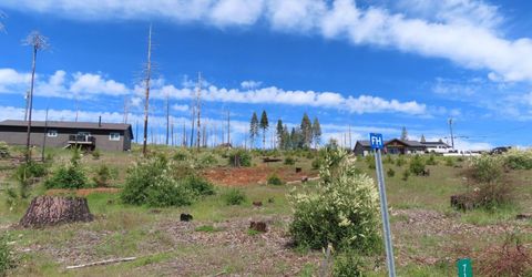 7130 Winding Way, Grizzly Flats, CA 95636 Photo