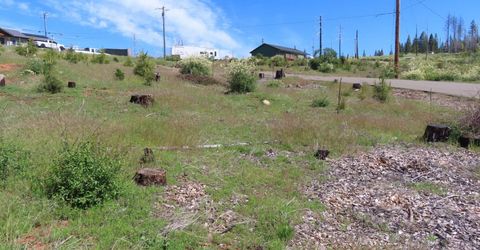 7130 Winding Way, Grizzly Flats, CA 95636 Photo