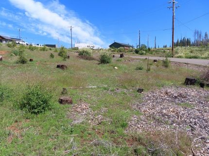 7130 Winding Way, Grizzly Flats, CA 95636 Photo