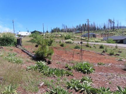 7130 Winding Way, Grizzly Flats, CA 95636 Photo
