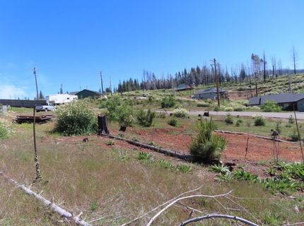 7130 Winding Way, Grizzly Flats, CA 95636 Photo
