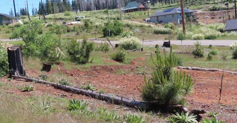 7130 Winding Way, Grizzly Flats, CA 95636 Photo