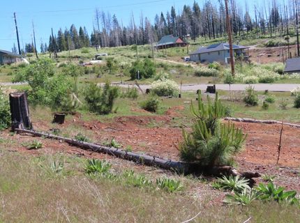 7130 Winding Way, Grizzly Flats, CA 95636 Photo