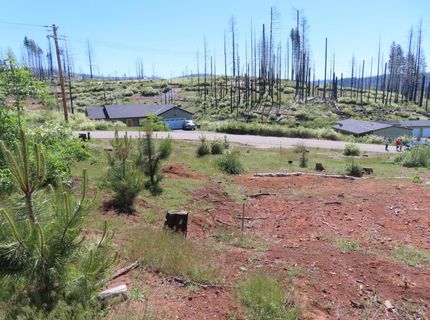 7130 Winding Way, Grizzly Flats, CA 95636 Photo