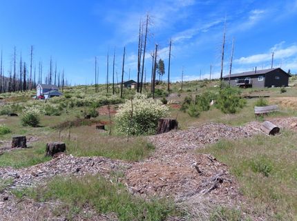 7130 Winding Way, Grizzly Flats, CA 95636 Photo