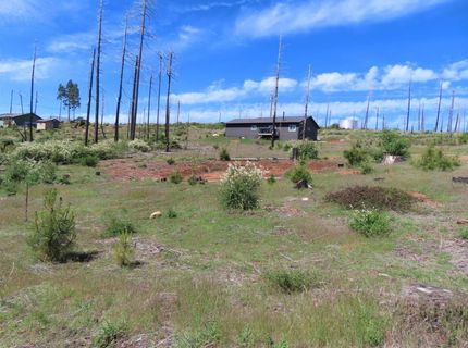 7130 Winding Way, Grizzly Flats, CA 95636 Photo