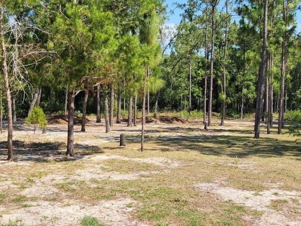 6361 ANTIOCH Avenue, Keystone Heights, FL 32656