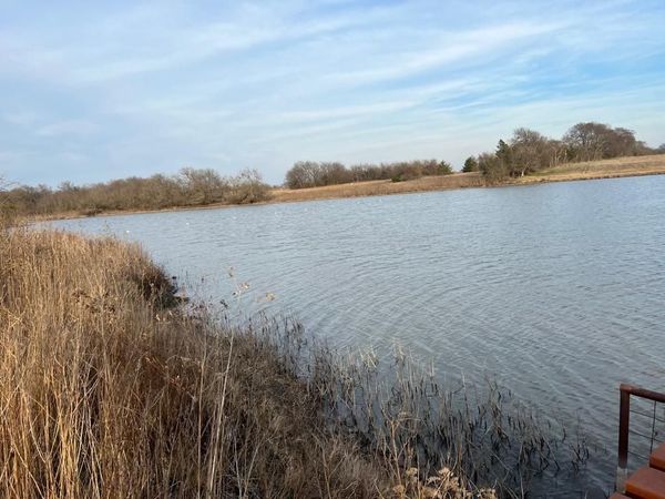TBD TX-160, Whitewright, TX 75490