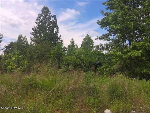 195 Wilders Lane , Louisburg, NC 27549 Main Photo