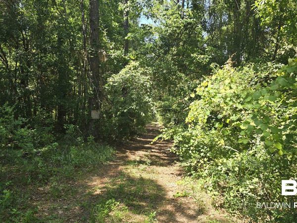 0 Toler Road, Silverhill, AL 36576