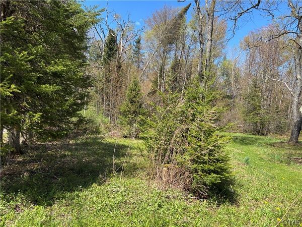 3960 Susquehannah Street, Remsen, NY 13438
