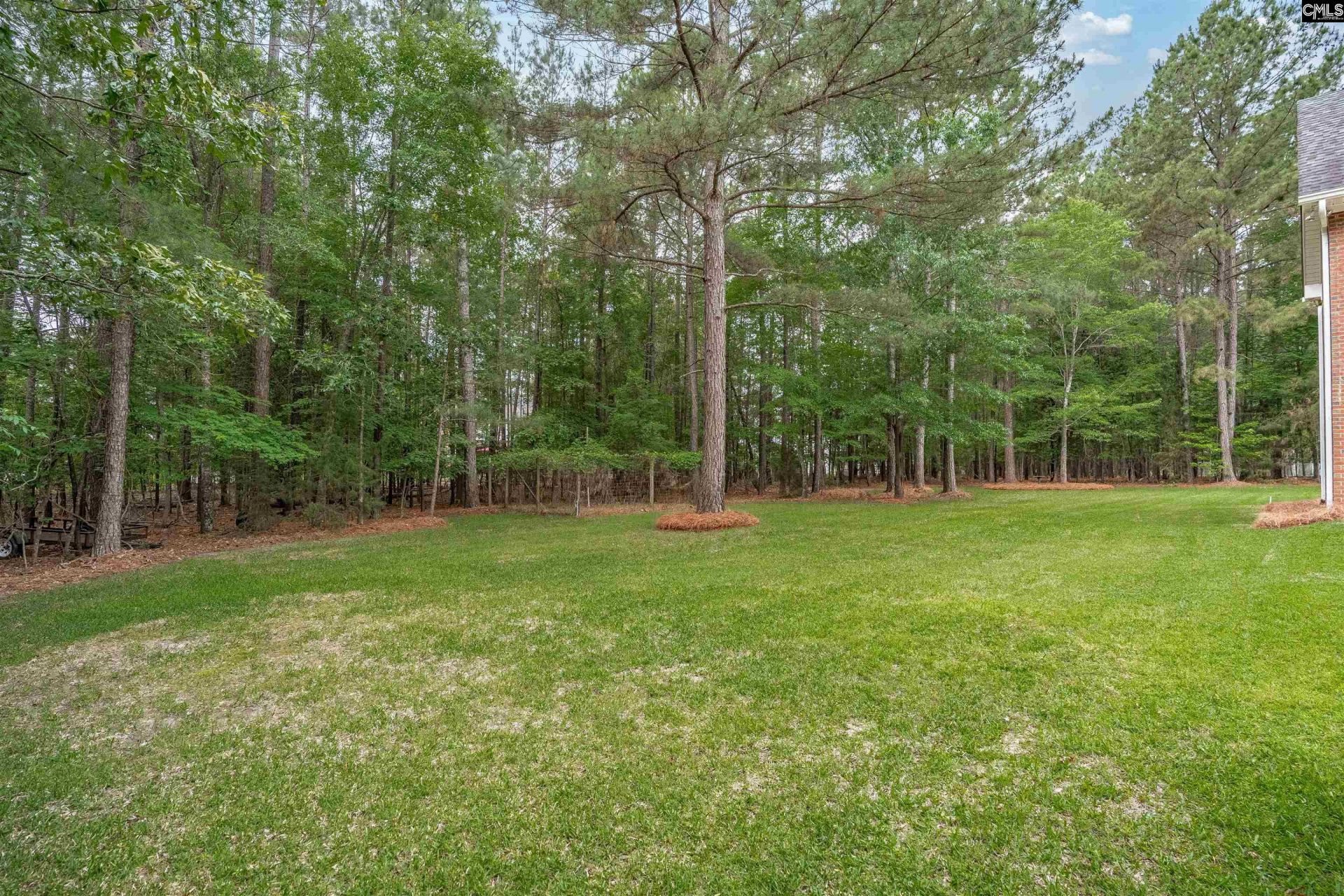 126 Pebblebranch Drive  Photo 36