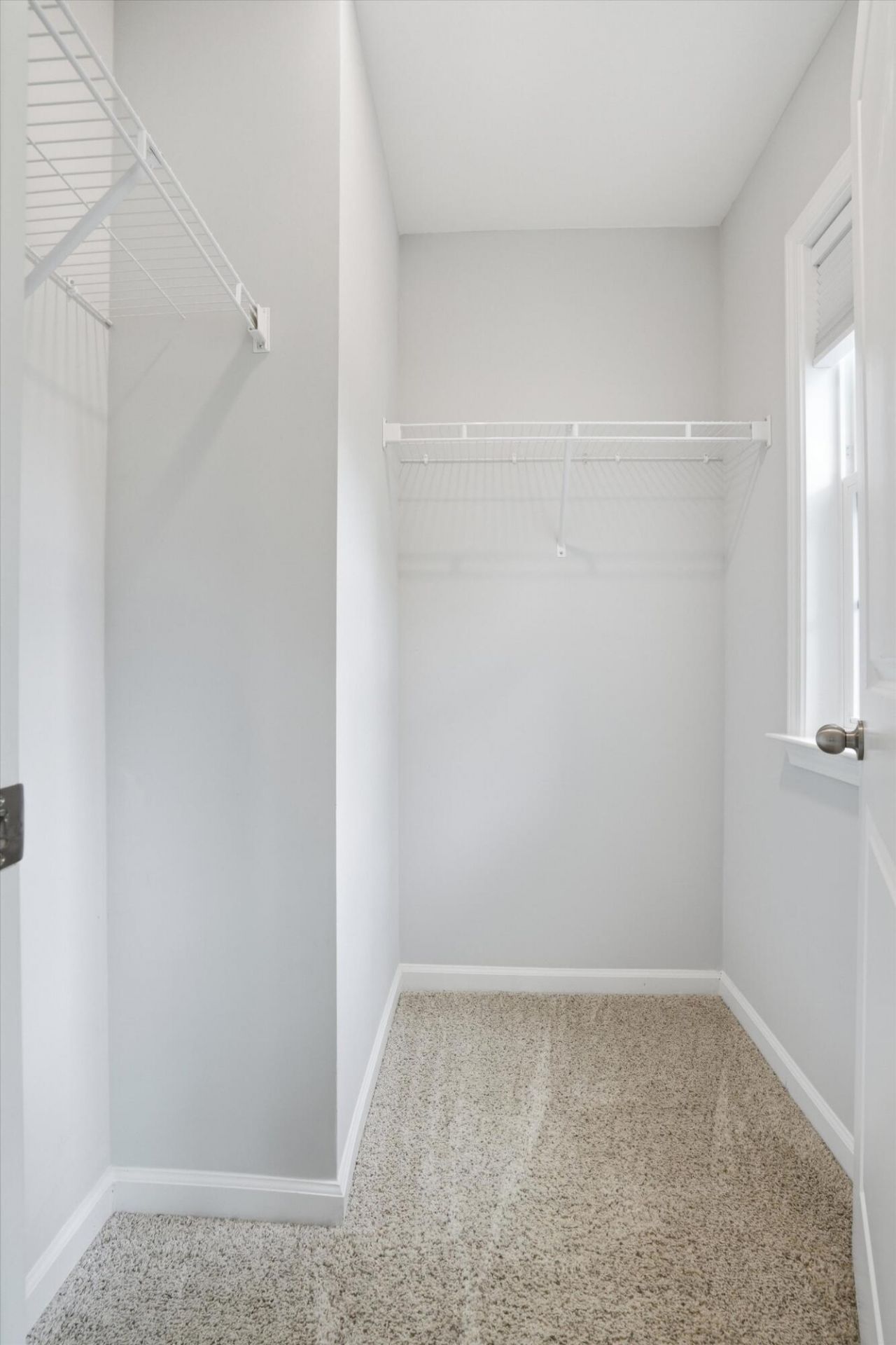 3020 Flat Rock Lane Photo 41