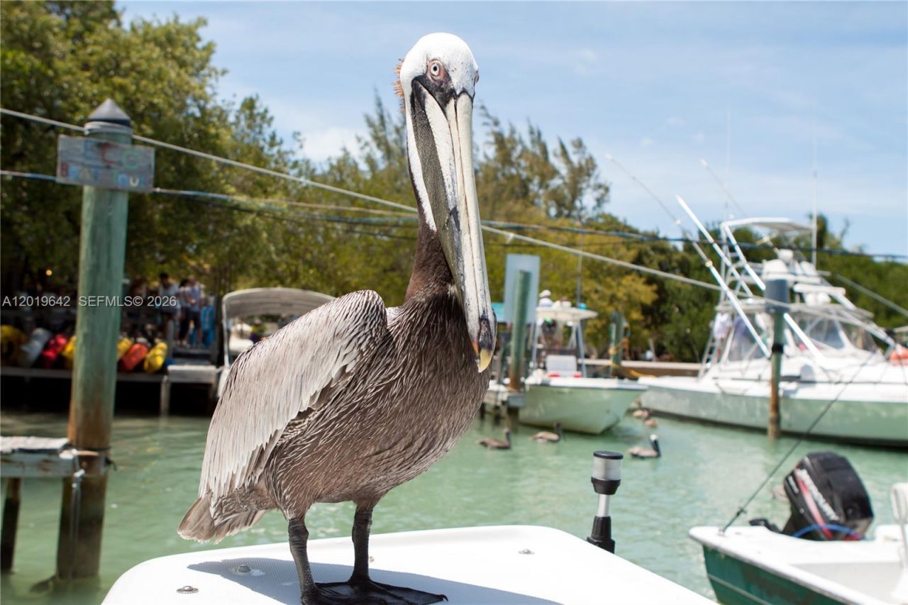 8 Ocean View Blvd, Key Largo, FL 33037 Photo