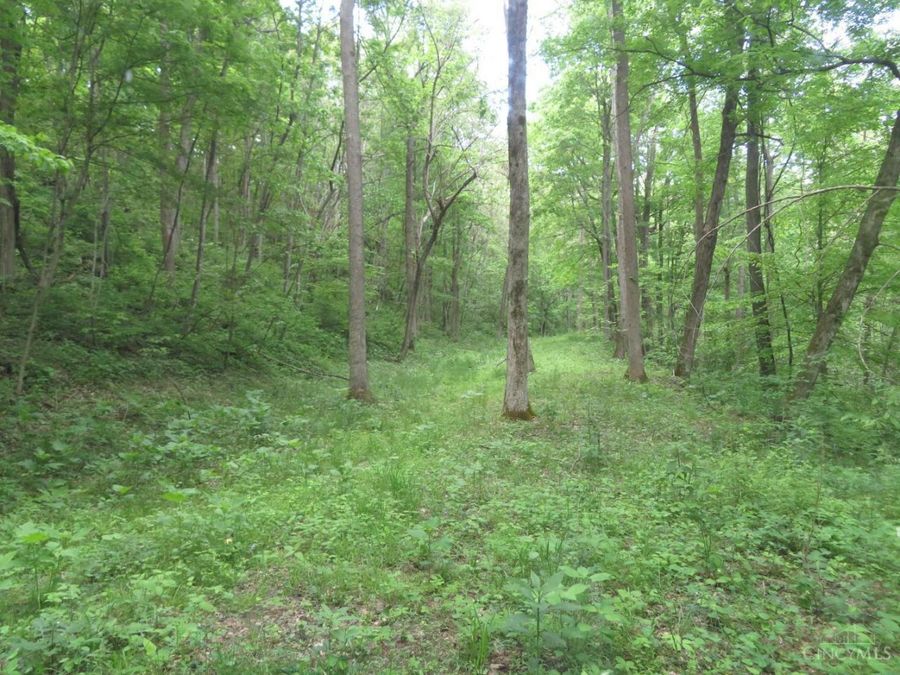 Property Image 54