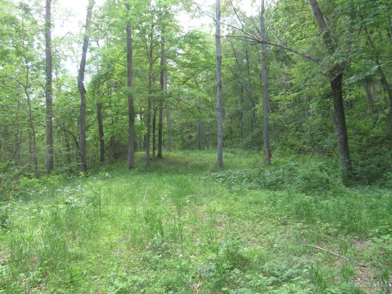 24650 US Route 52, Stout, OH 45684 Photo 58