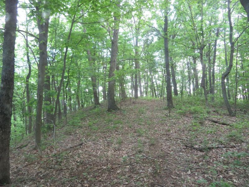 24650 US Route 52, Stout, OH 45684 Photo 60