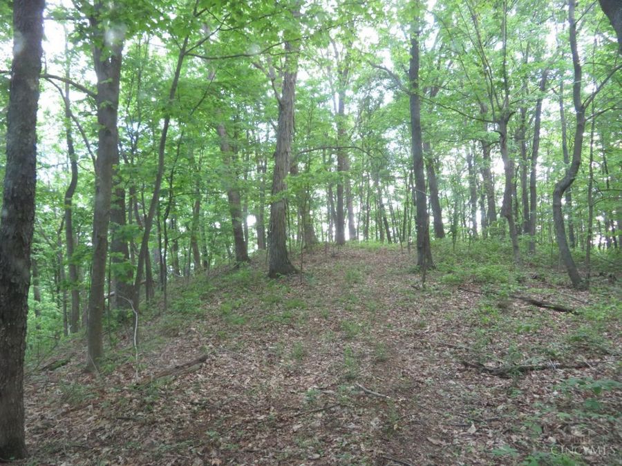 Property Image 61