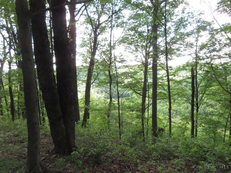 24650 US Route 52, Stout, OH 45684 Photo 64