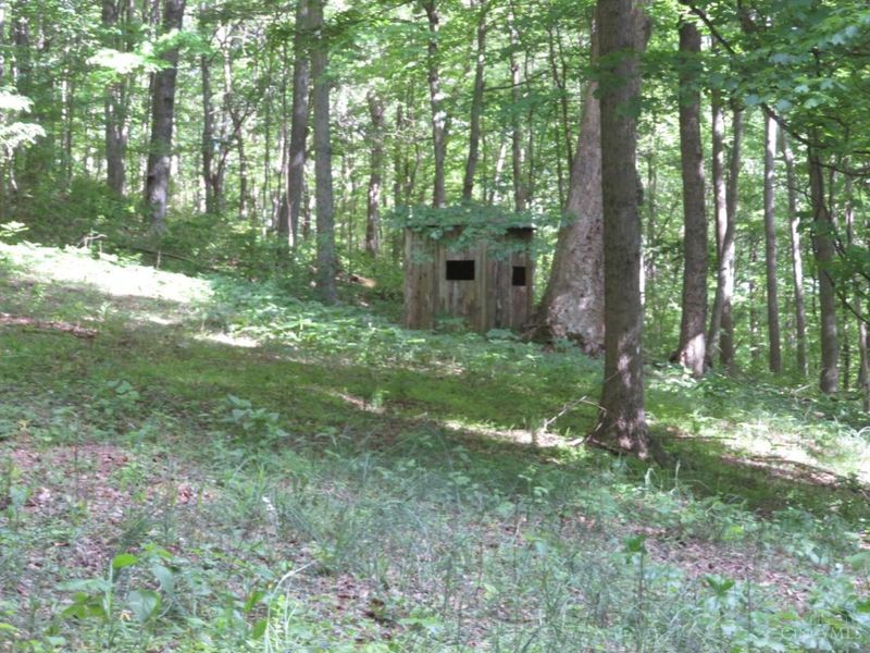 24650 US Route 52, Stout, OH 45684 Photo 65