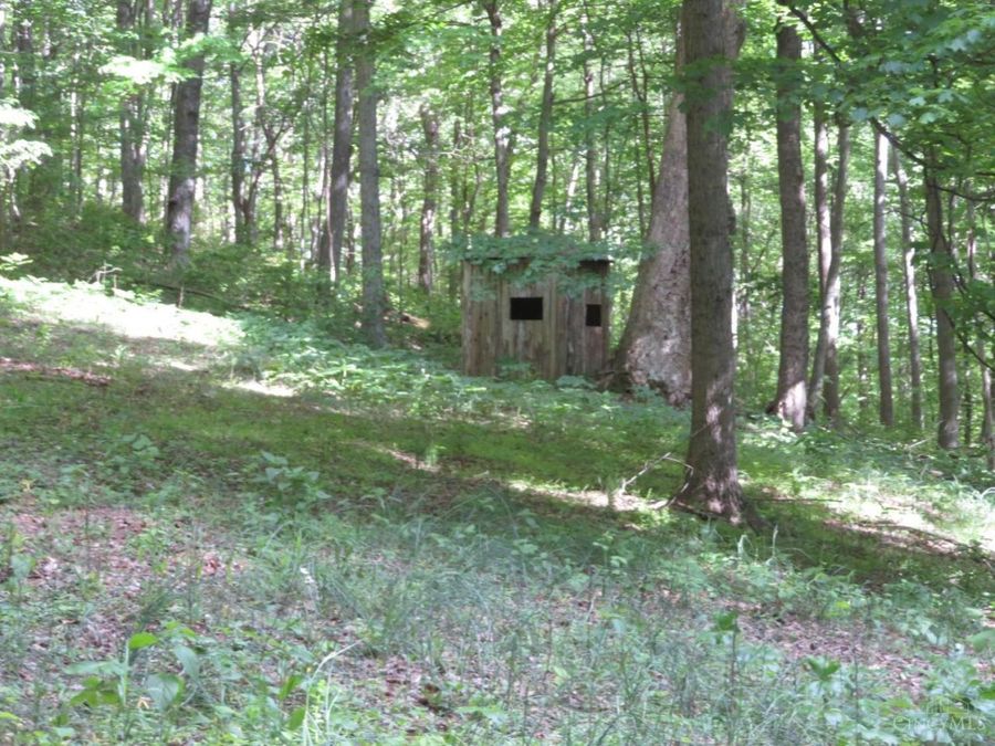 Property Image 66