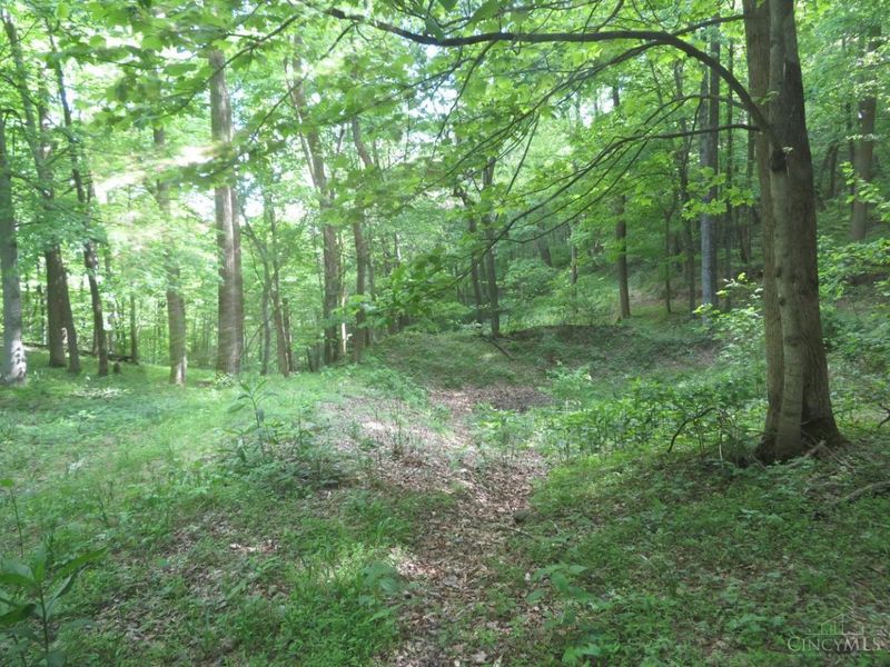 24650 US Route 52, Stout, OH 45684 Photo 66