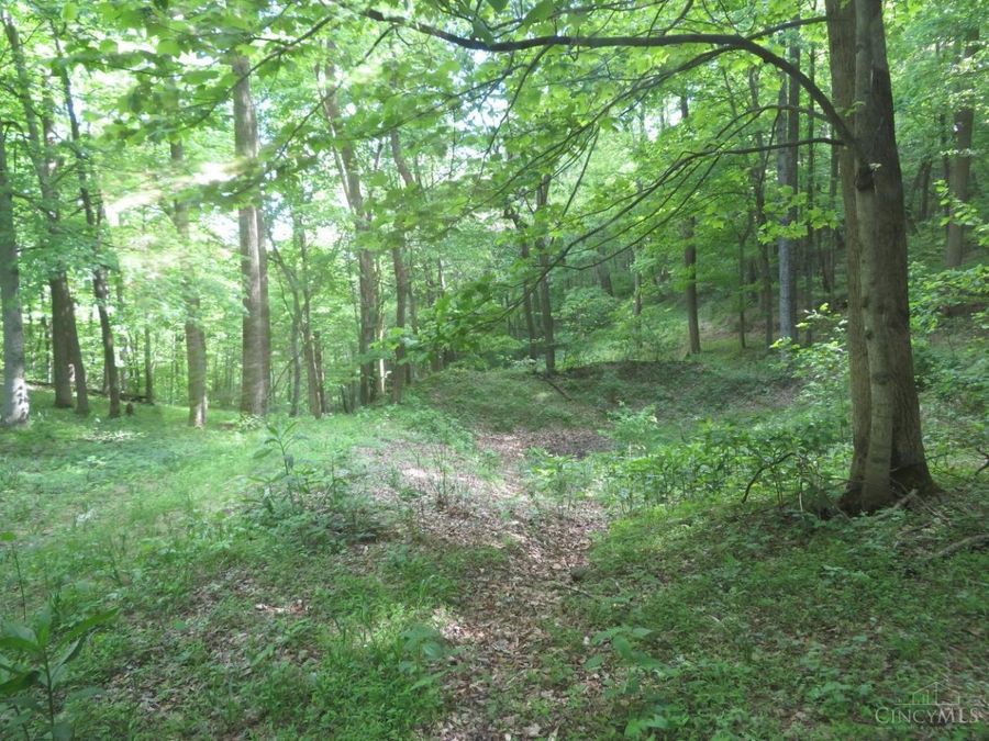 Property Image 67