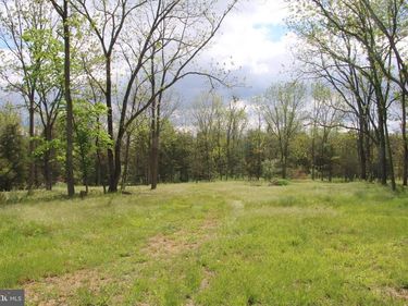 RIDGE HOLLOW ROAD , EDINBURG, VA 22824