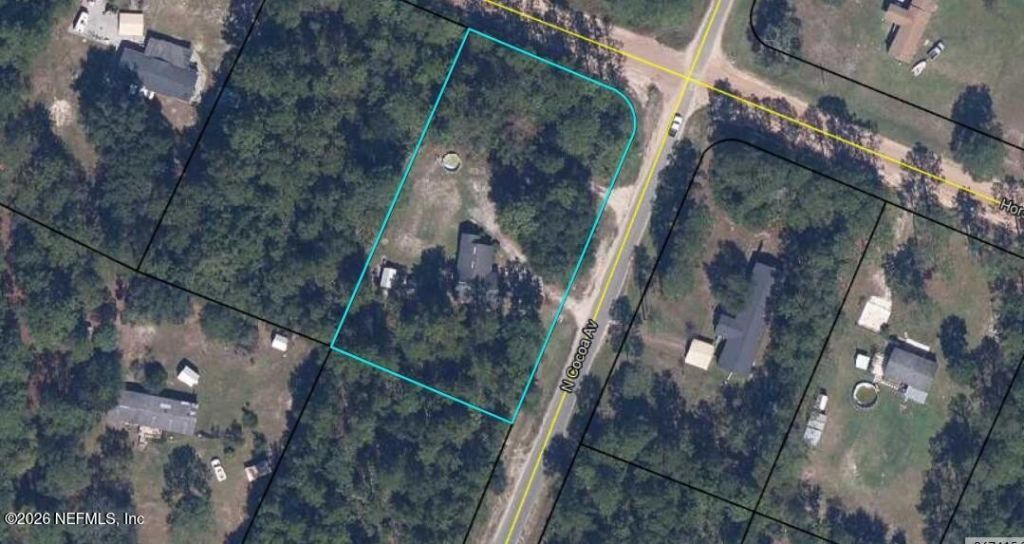 19 N Cocoa Avenue, Middleburg, FL 32068 Photo