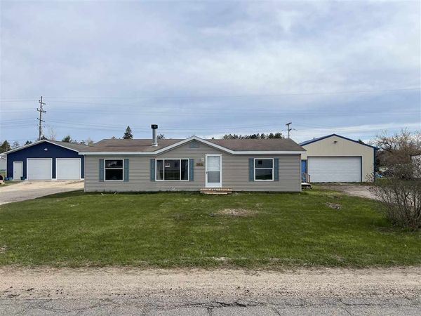 6615 Mill Street, Pellston, MI 49769