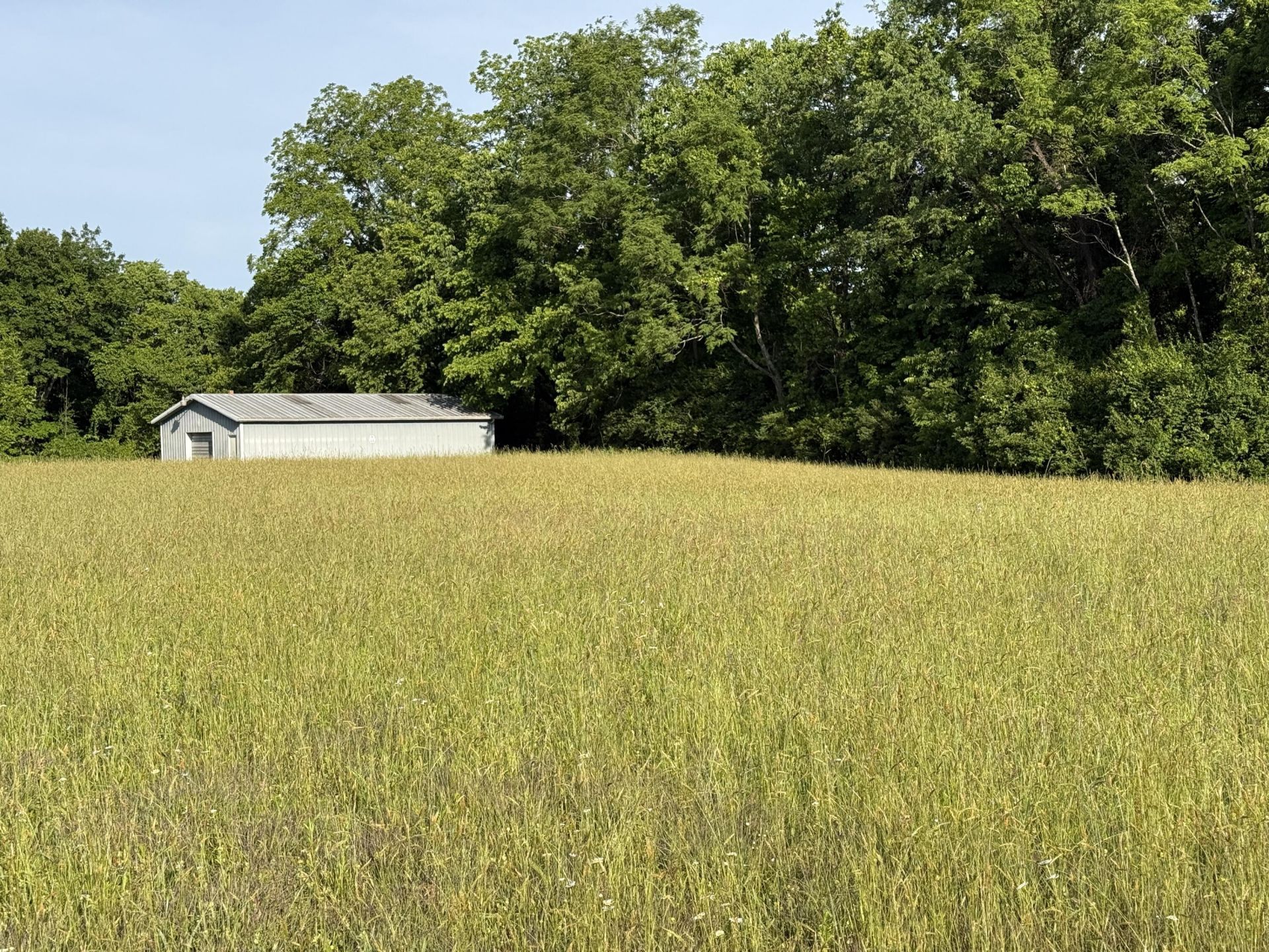 Tbd Lewis Ferry Road, Frankfort, KY 40601 Main Photo