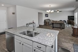 223 Chetsley Drive  photo 4