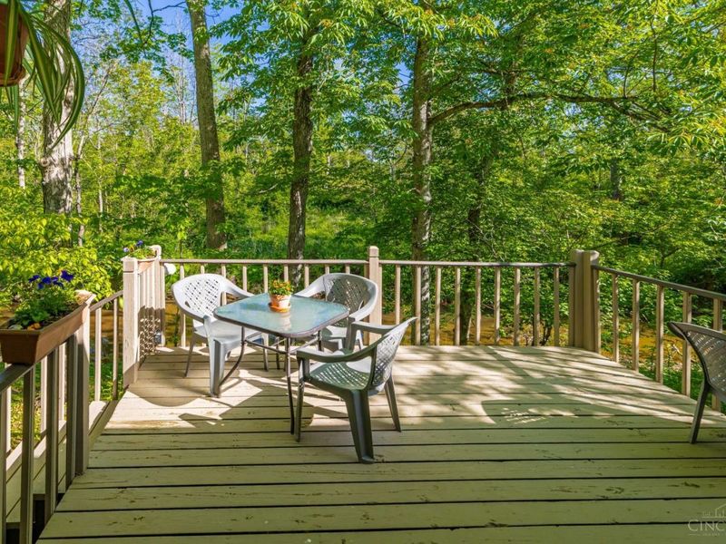 10000 State Route 73, Franklin Twp, OH 45660 Photo 54