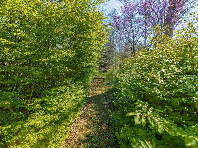 10000 State Route 73, Franklin Twp, OH 45660 Photo 77