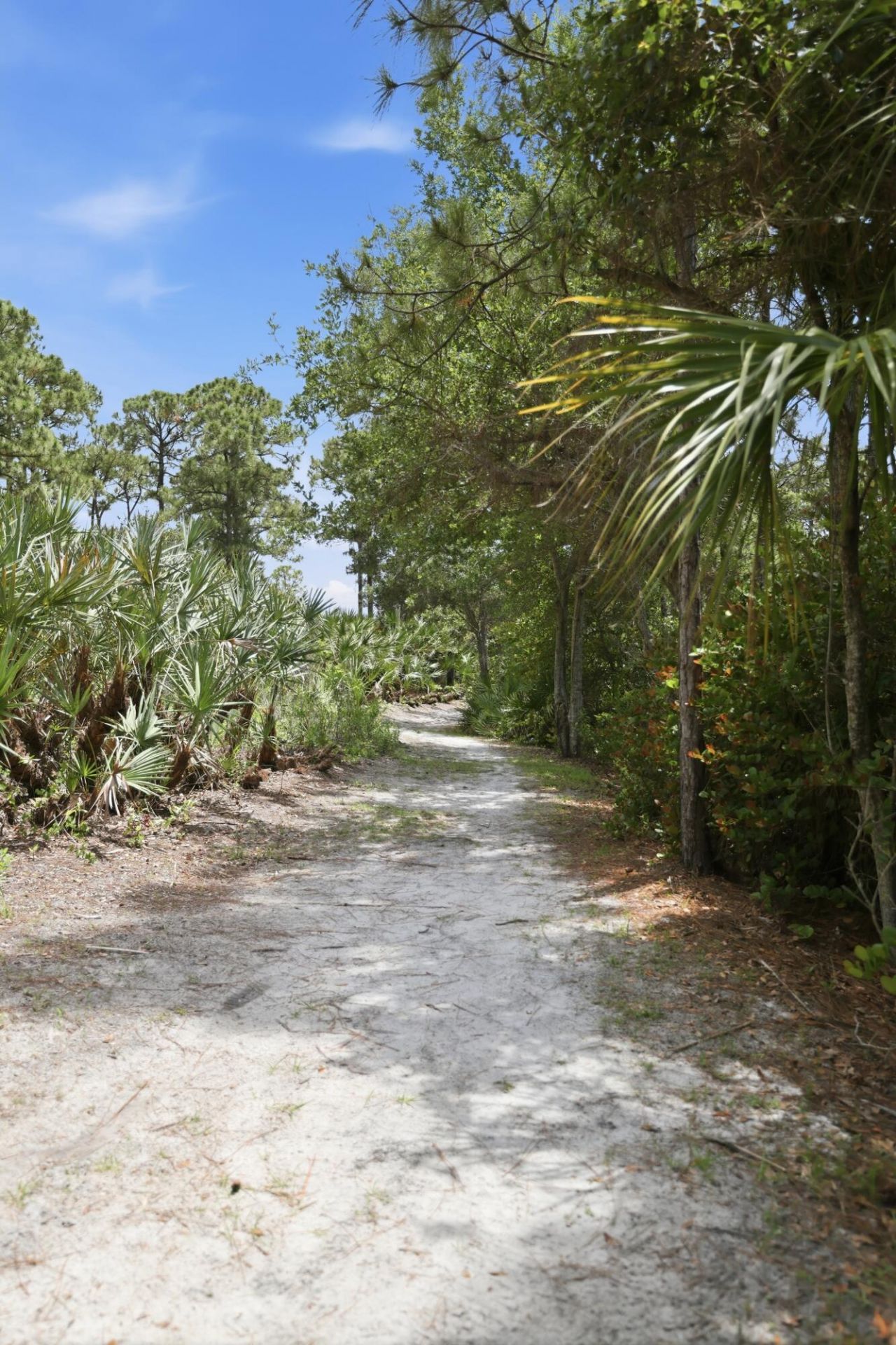 135 W Indian Crossing Circle, Jupiter, FL 33458 Photo