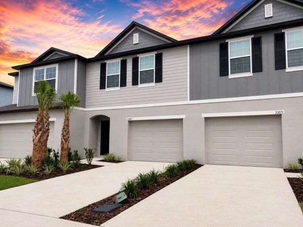 32067 EASTERN REDBUD BRANCH , SAN ANTONIO, FL 33576
