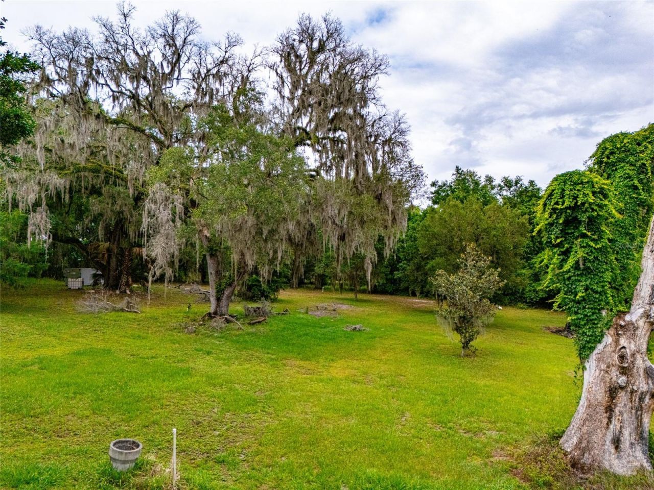 8845 NW 130th Street , Reddick, FL 32686 Photo