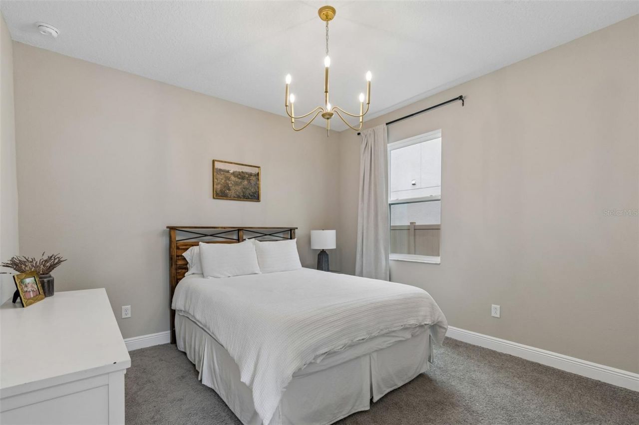 7754 Hemlock Seed Drive , Wesley Chapel, FL 33545 Photo