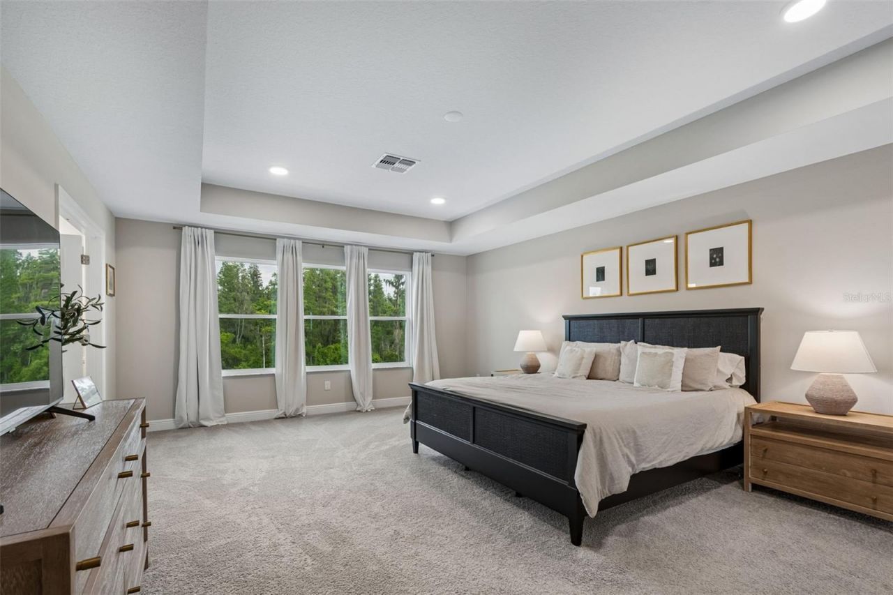 7754 Hemlock Seed Drive , Wesley Chapel, FL 33545 Photo