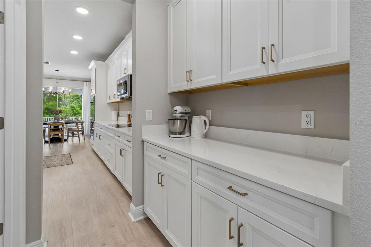 7754 Hemlock Seed Drive , Wesley Chapel, FL 33545 Photo