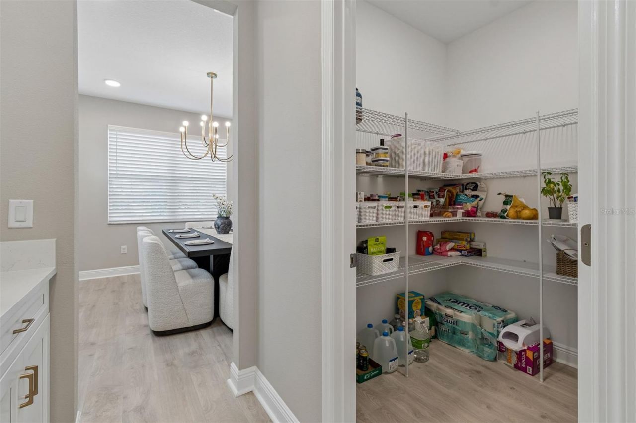 7754 Hemlock Seed Drive , Wesley Chapel, FL 33545 Photo