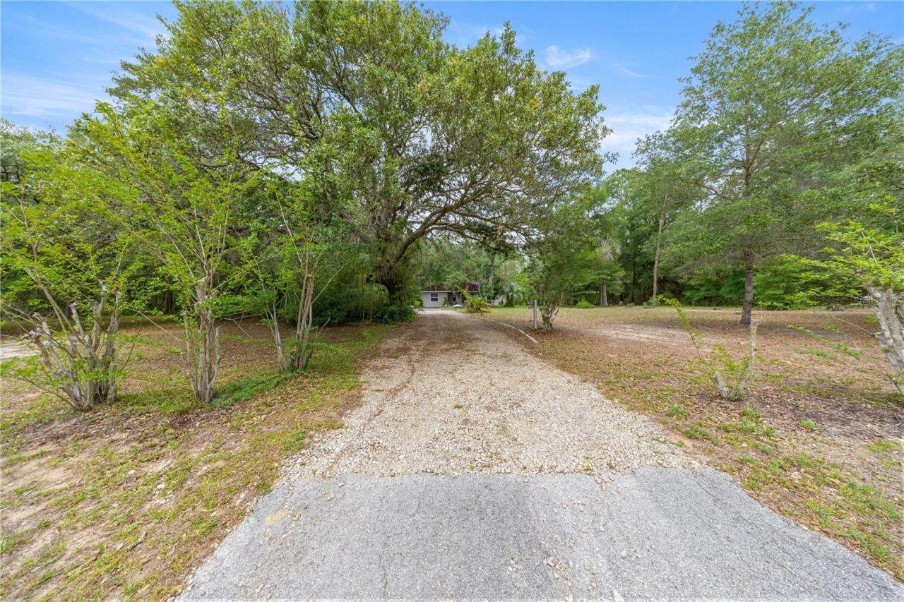 20349 SW 59th Lane, Dunnellon, FL 34431 Photo