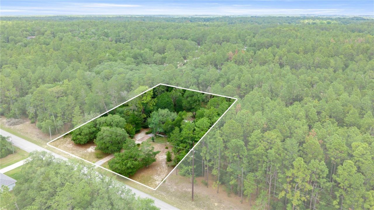 20349 SW 59th Lane, Dunnellon, FL 34431 Photo